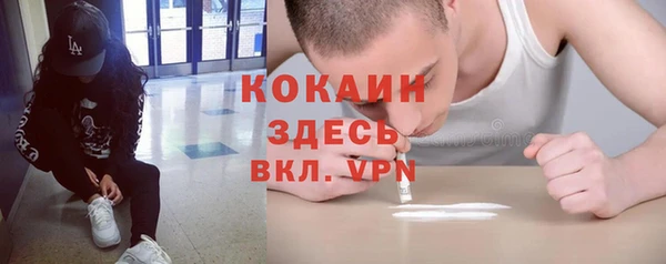 не бодяженный Алексин